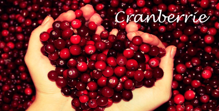 Cramberry